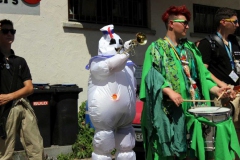 Biberacher Schützenfest 2013 - Foto von Peter Holzapfel
