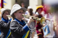Biberacher Schützenfest 2014 - Foto von Peter Holzapfel