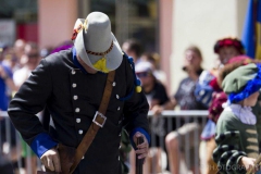 Biberacher Schützenfest 2014 - Foto von Peter Holzapfel